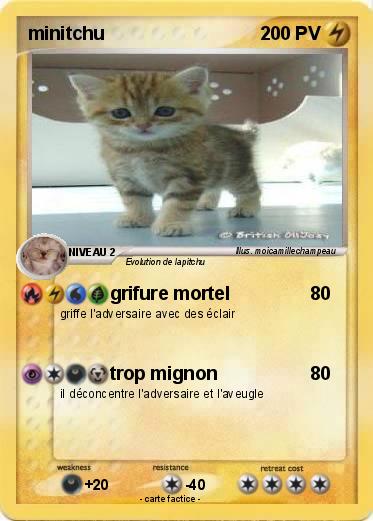 Pokemon minitchu