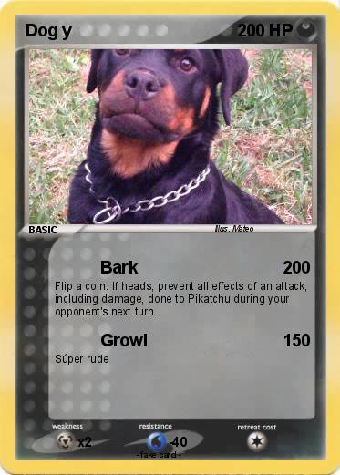 Pokemon Dog y