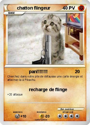 Pokemon chatton flingeur