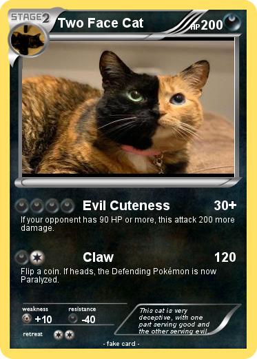 Pokemon Two Face Cat