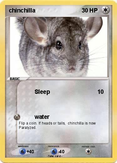 Pokemon chinchilla