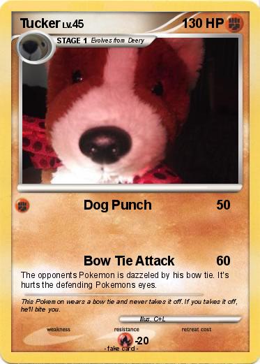 Pokemon Tucker