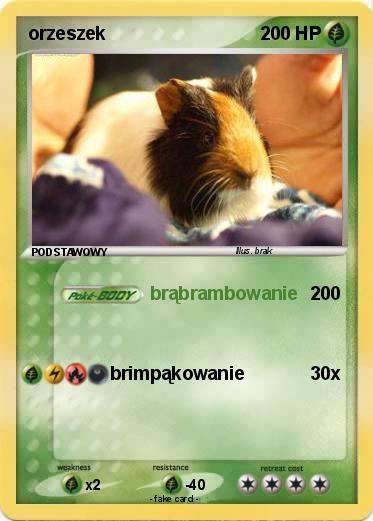Pokemon orzeszek