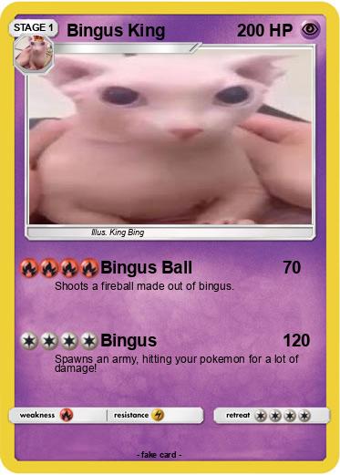 Pokemon Bingus King