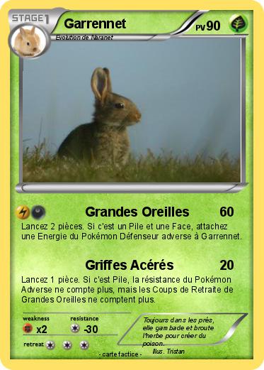Pokemon Garrennet