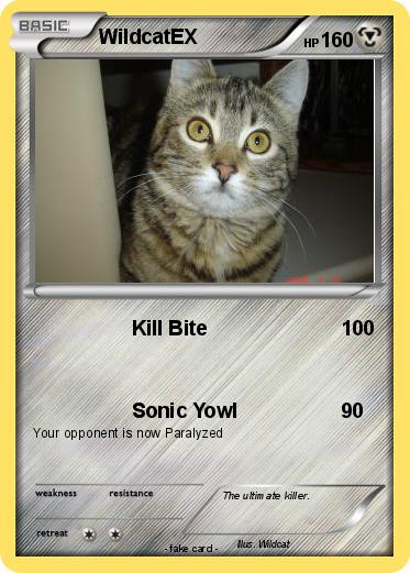 Pokemon WildcatEX