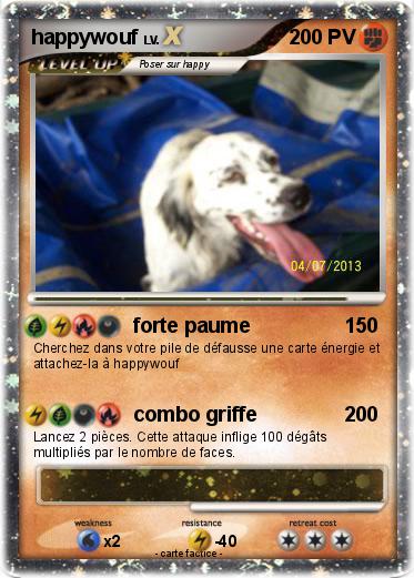 Pokemon happywouf