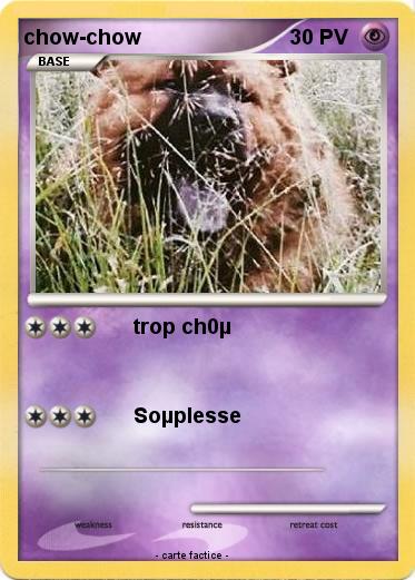 Pokemon chow-chow