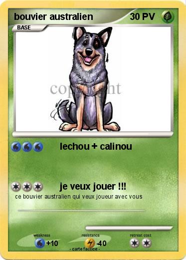 Pokemon bouvier australien