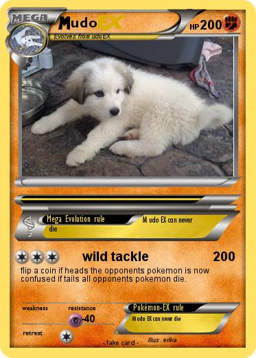 Pokemon udo