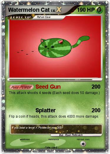 Pokemon Watermelon Cat