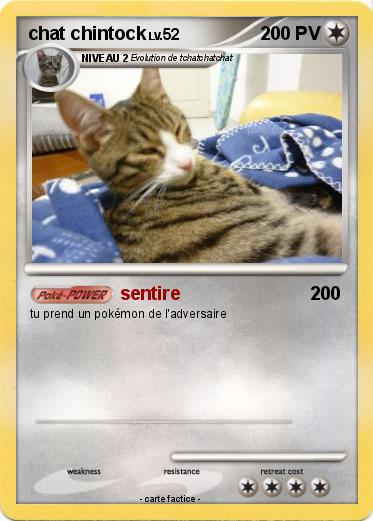 Pokemon chat chintock