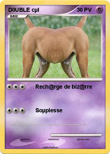 Pokemon D0UBLE cµl