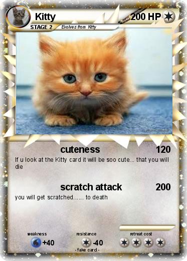 Pokemon Kitty
