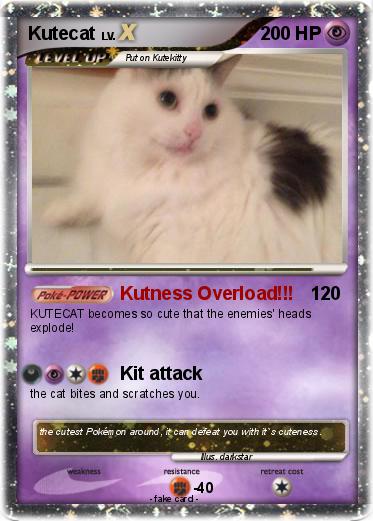 Pokemon Kutecat