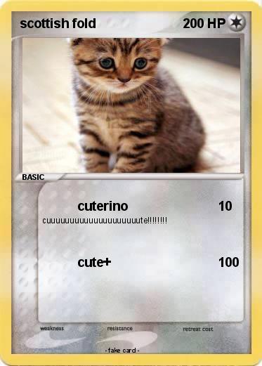 Pokemon scottish fold