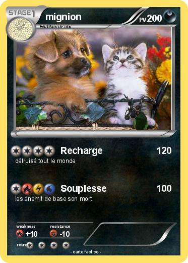 Pokemon mignion
