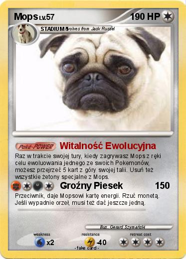 Pokemon Mops