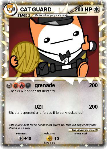 Pokemon CAT GUARD