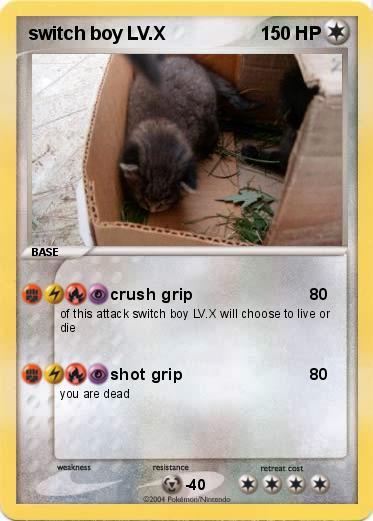Pokemon switch boy LV.X