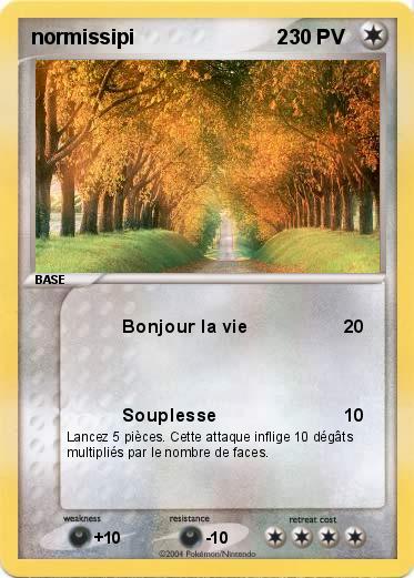 Pokemon normissipi                         2 