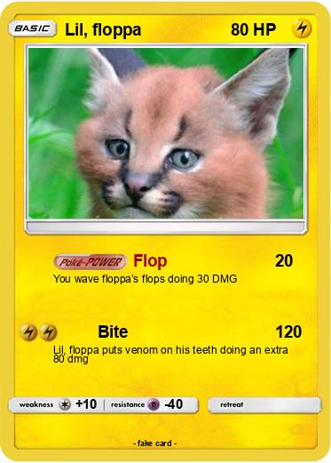 Pokemon Lil, floppa
