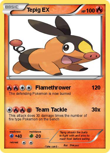 Pokemon Tepig EX