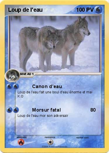 Pokemon Loup de l'eau