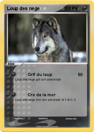 Pokemon Loup des nege