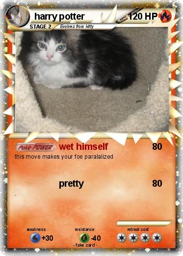 Pokemon harry potter