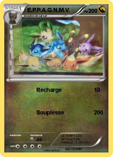 Pokemon E.P.P.A.G.N.M.V.