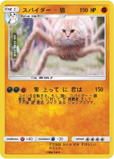 Pokemon スパイダー - 猫