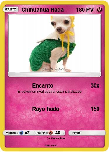 Pokemon Chihuahua Hada