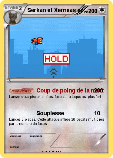 Pokemon Serkan et Xerneas ex