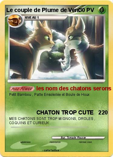 Pokemon Le couple de Plume de Vent