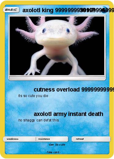 Pokemon axolotl king 99999999999999999999999999999999999999999999999999999999999999999999999999999999999999999999999999999