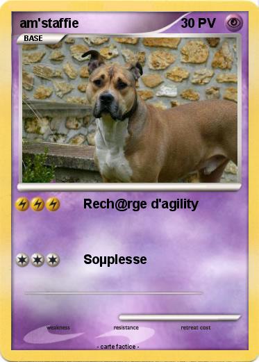 Pokemon am'staffie