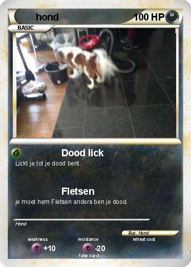 Pokemon hond