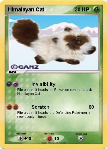 Pokemon Himalayan Cat