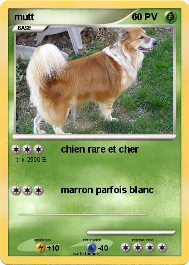 Pokemon mutt