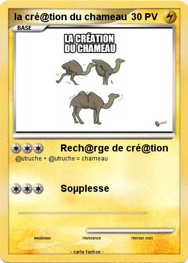 Pokemon la cré@tion du chameau