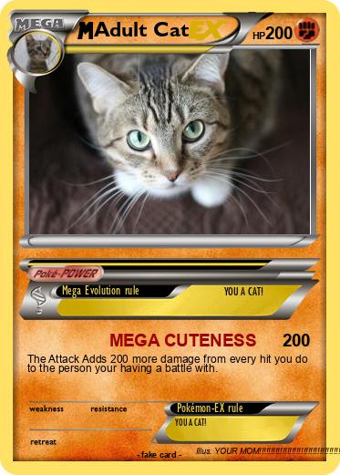 Pokemon Adult Cat