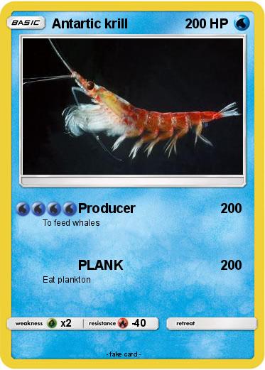 Pokemon Antartic krill