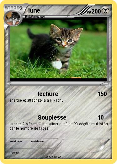 Pokemon lune