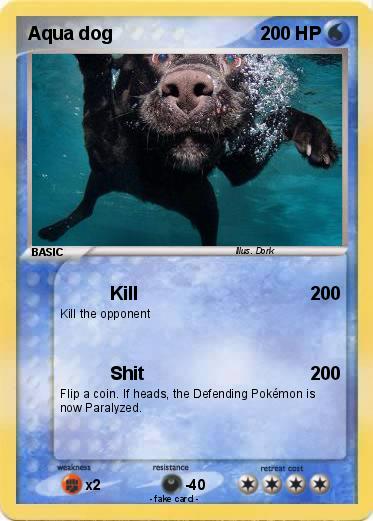 Pokemon Aqua dog