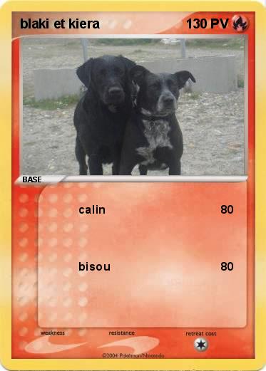 Pokemon blaki et kiera