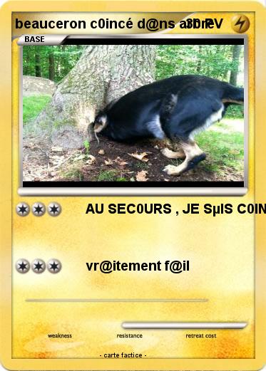Pokemon beauceron c0incé d@ns arbre