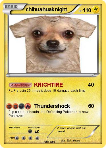Pokemon chihuahuaknight