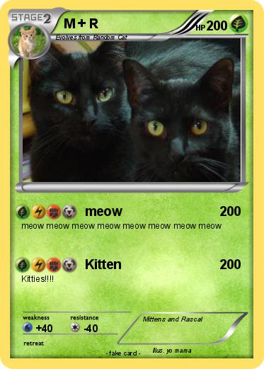 Pokemon M + R