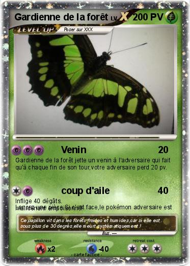 Pokemon Gardienne de la forêt